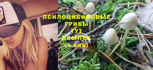 винт Армянск