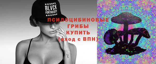 винт Армянск