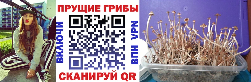 Псилоцибиновые грибы ЛСД  Майский 